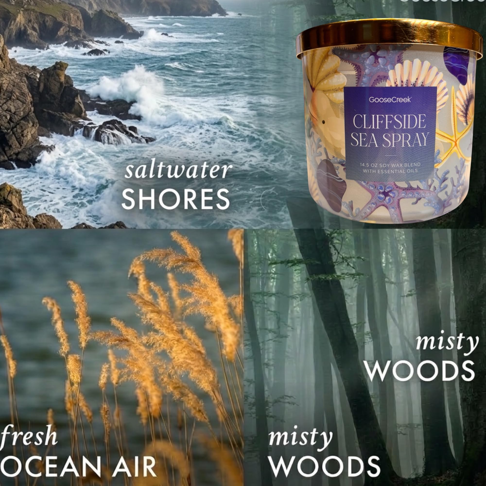 Soy Wax Blend Scented Candle, 14.5 oz, Odor Eliminating, Ocean and Tropical Themes, with Essential Oils