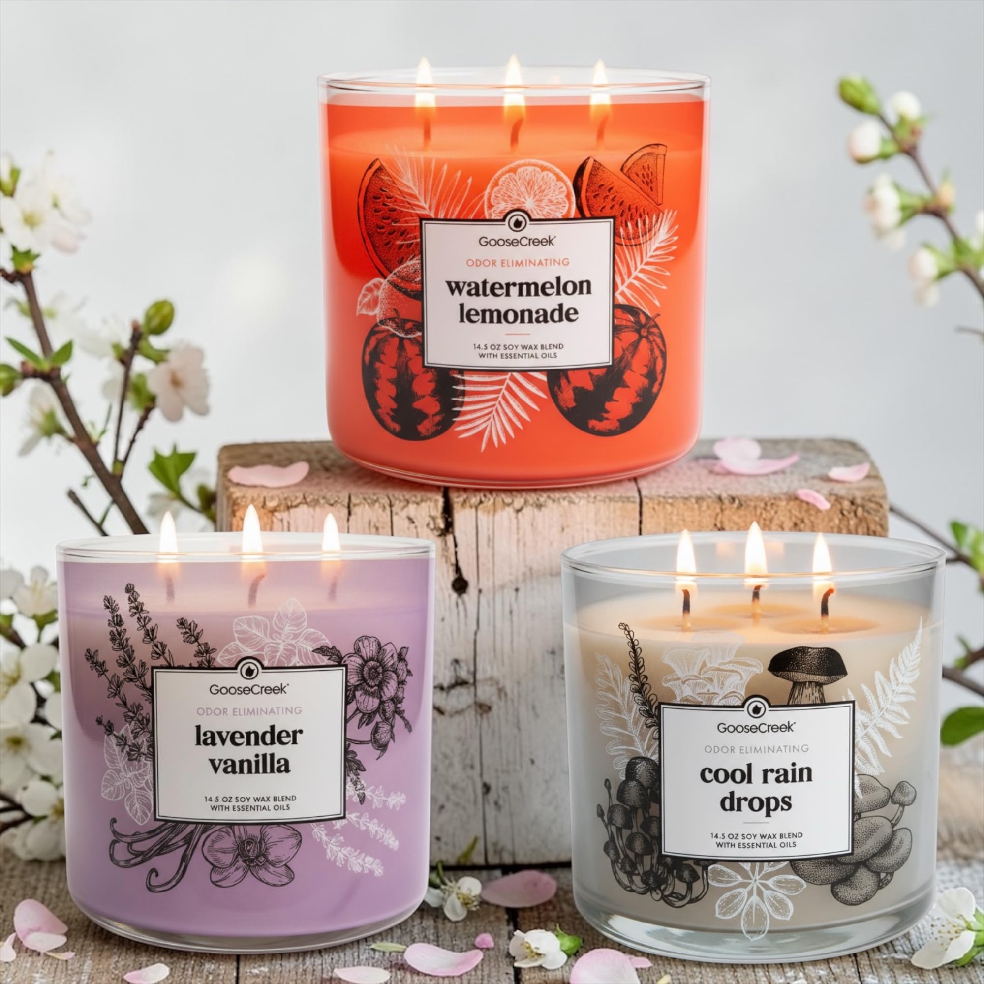 Odor Eliminating Scented Candle, 14.5 oz Soy Wax Blend with Essential Oils, 3-Pack (Cool Rain Drops, Lavender Vanilla, Watermelon Lemonade)
