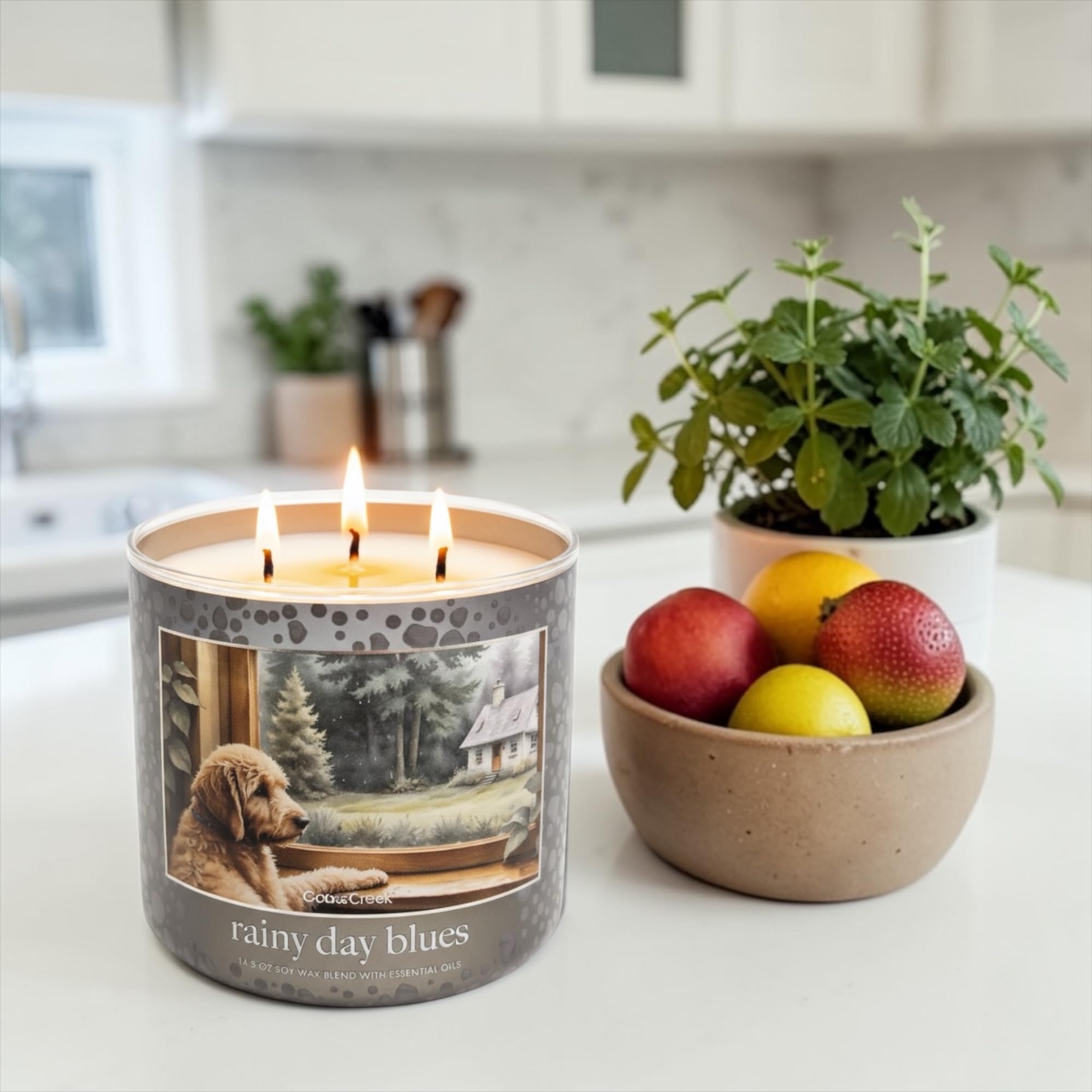 Rainy Day Blues Scented Candle, 14.5 oz Soy Wax Blend with Essential Oils, Fresh Rain, Wet Moss, Blue Eucalyptus & Dewy Apples