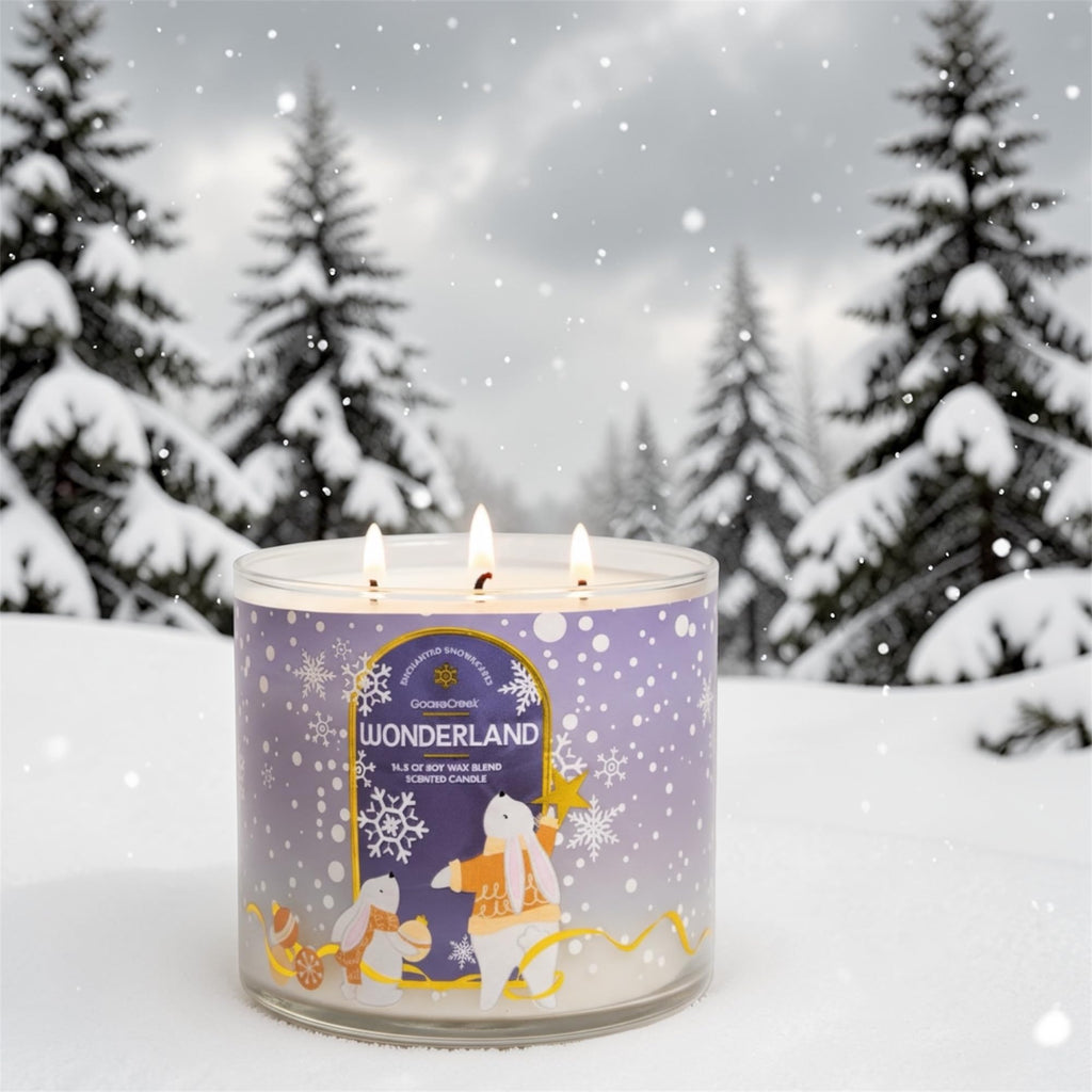 Wonderland 3-Wick Scented Candle, Soy Wax Blend, Peppermint, Vanilla Bean & White Woods, 14.5 oz
