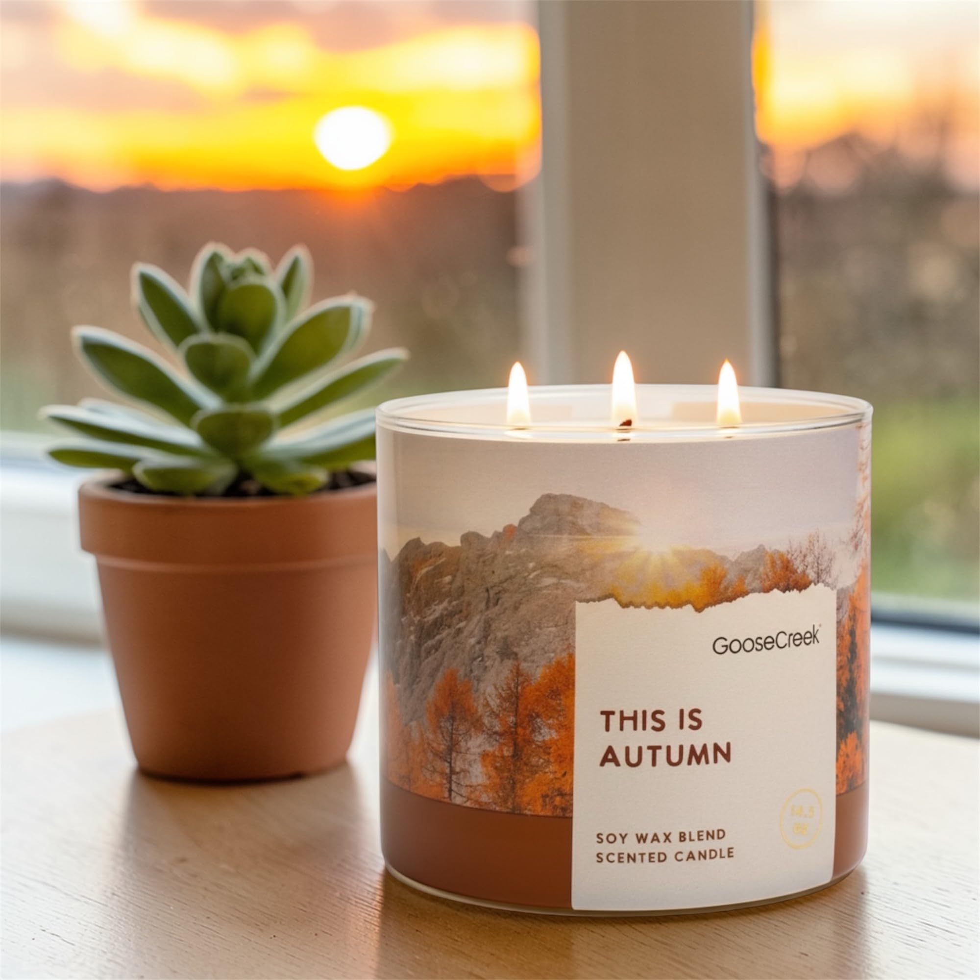 This is Autumn Scented Candle, Soy Wax Blend, 3-Wick, Apples, Leaves, Oats, Caramel & Spice