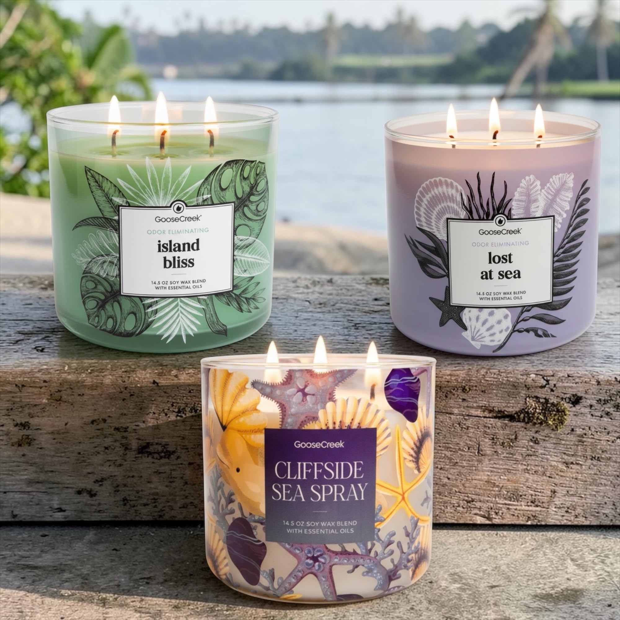 Soy Wax Blend Scented Candle, 14.5 oz, Odor Eliminating, Ocean and Tropical Themes, with Essential Oils
