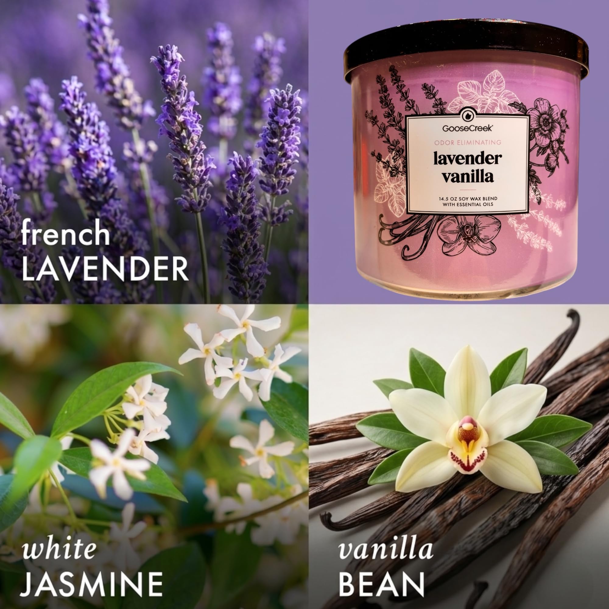 Odor Eliminating Scented Candle, 14.5 oz Soy Wax Blend with Essential Oils, 3-Pack (Cool Rain Drops, Lavender Vanilla, Watermelon Lemonade)