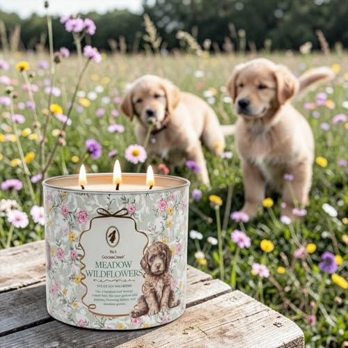 Meadow Wildflowers Scented Candle, 14.5 oz Soy Wax Blend with Artisanal Shortcake Soap Gift