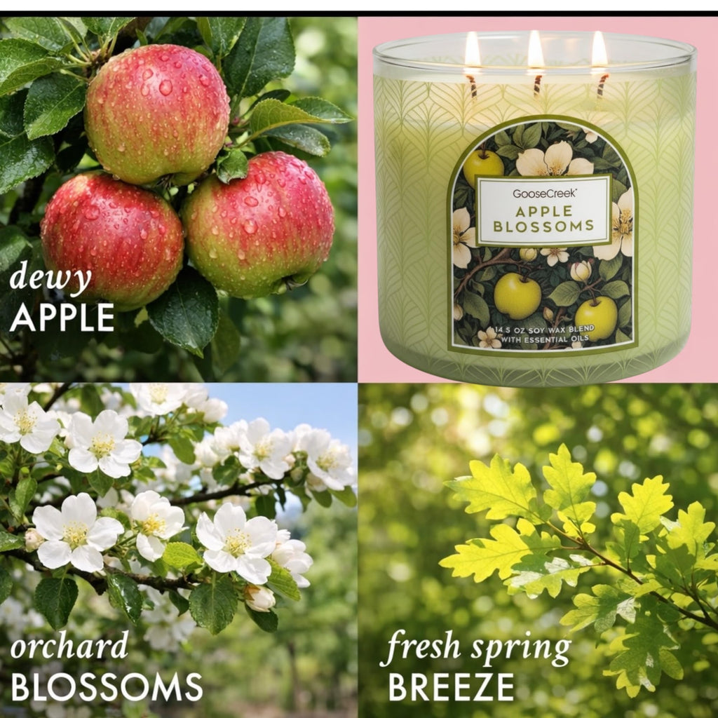 Seaside Summer Collection, Set o 3-Wick 14.5 oz Scented Candles, Soy Wax Blend with Essential Oils,
