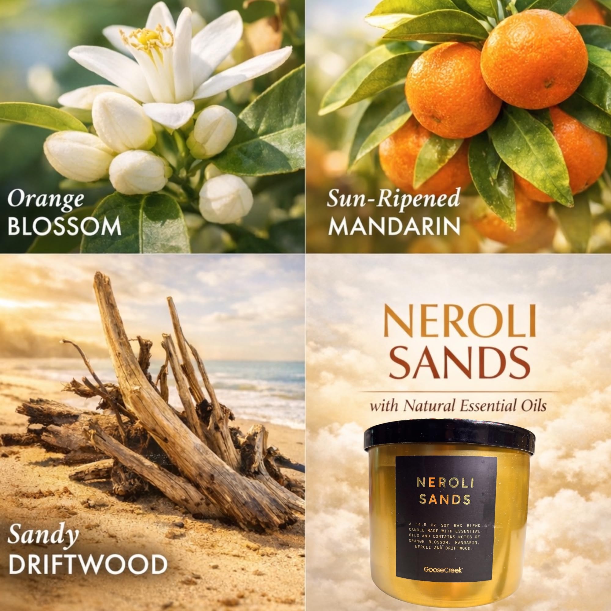 Soy Wax Blend Scented Candles with Natural Essential Oils, Set of 3, Lost in Nature, Spring Forward, Neroli Sands
