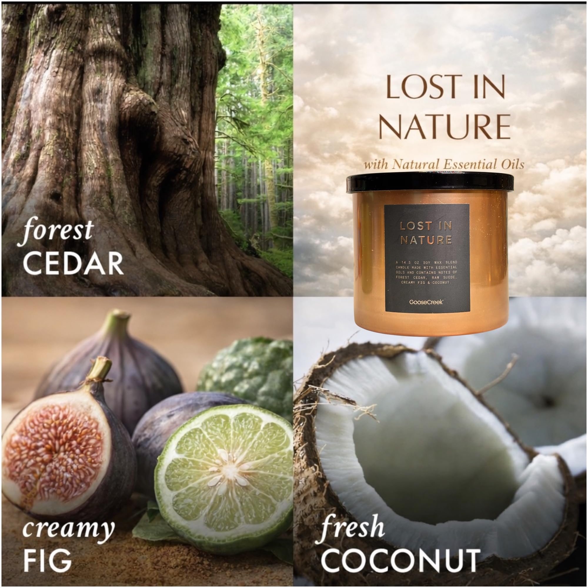 Soy Wax Blend Scented Candles with Natural Essential Oils, Set of 3, Lost in Nature, Spring Forward, Neroli Sands