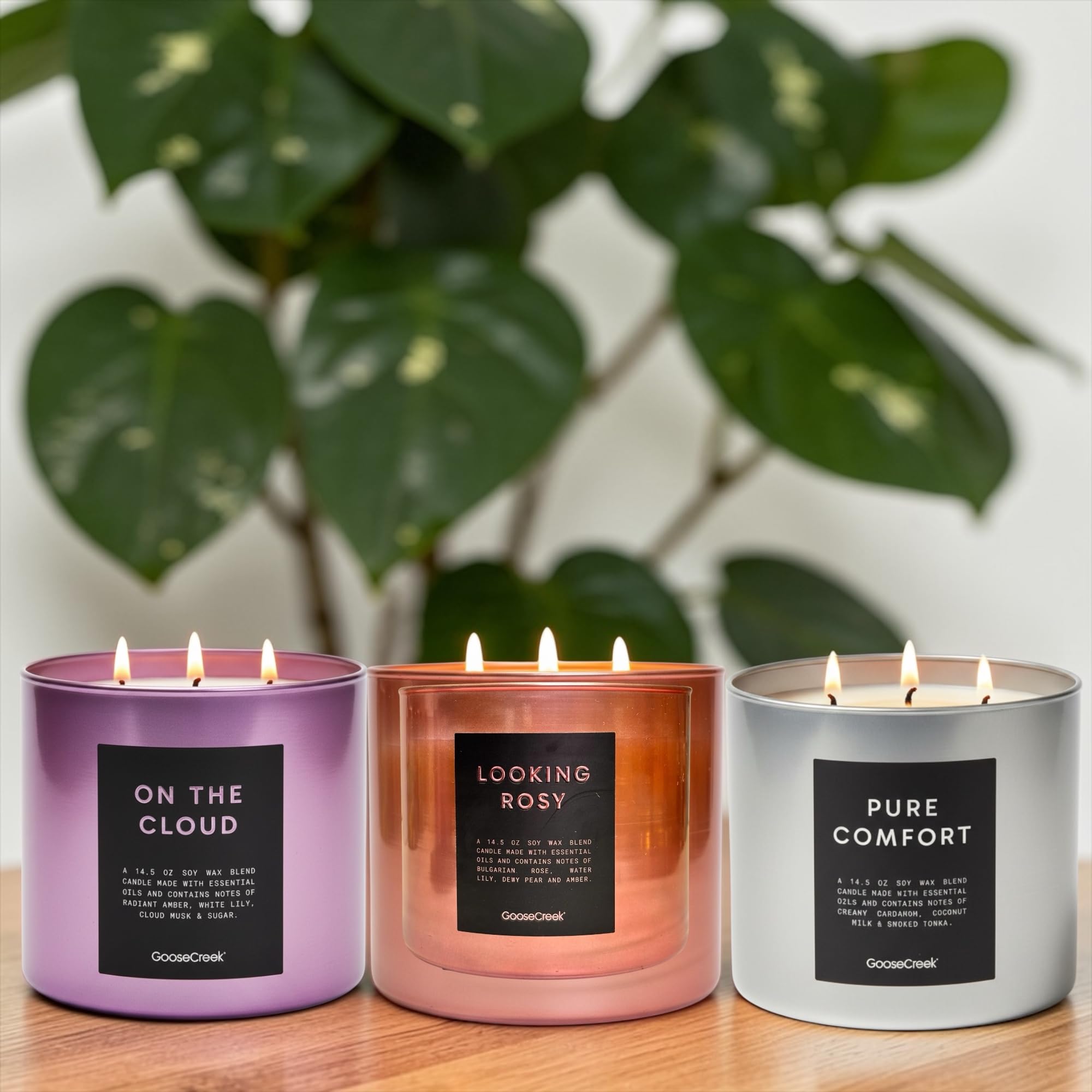 Soy Wax Blend Scented Candles, 14.5 oz, Set of 3, with Natural Essential Oils, Pure Comfort, Looking Rosy, on the Cloud