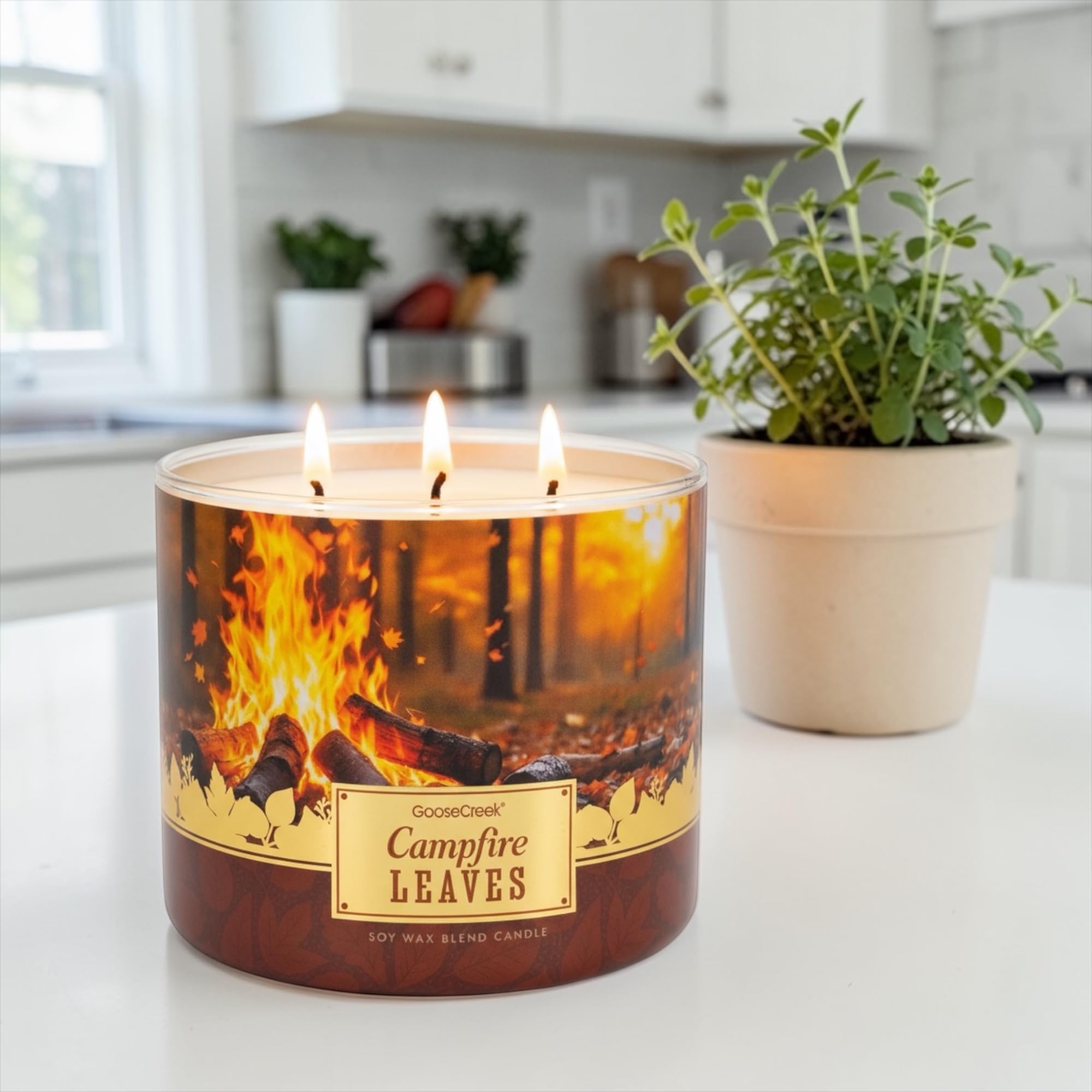 Campfire Leaves Soy Wax Blend Candle, 3-Wick, Brandied Apple, Charred Chestnuts, Fallen Leaves, Glowing Embers