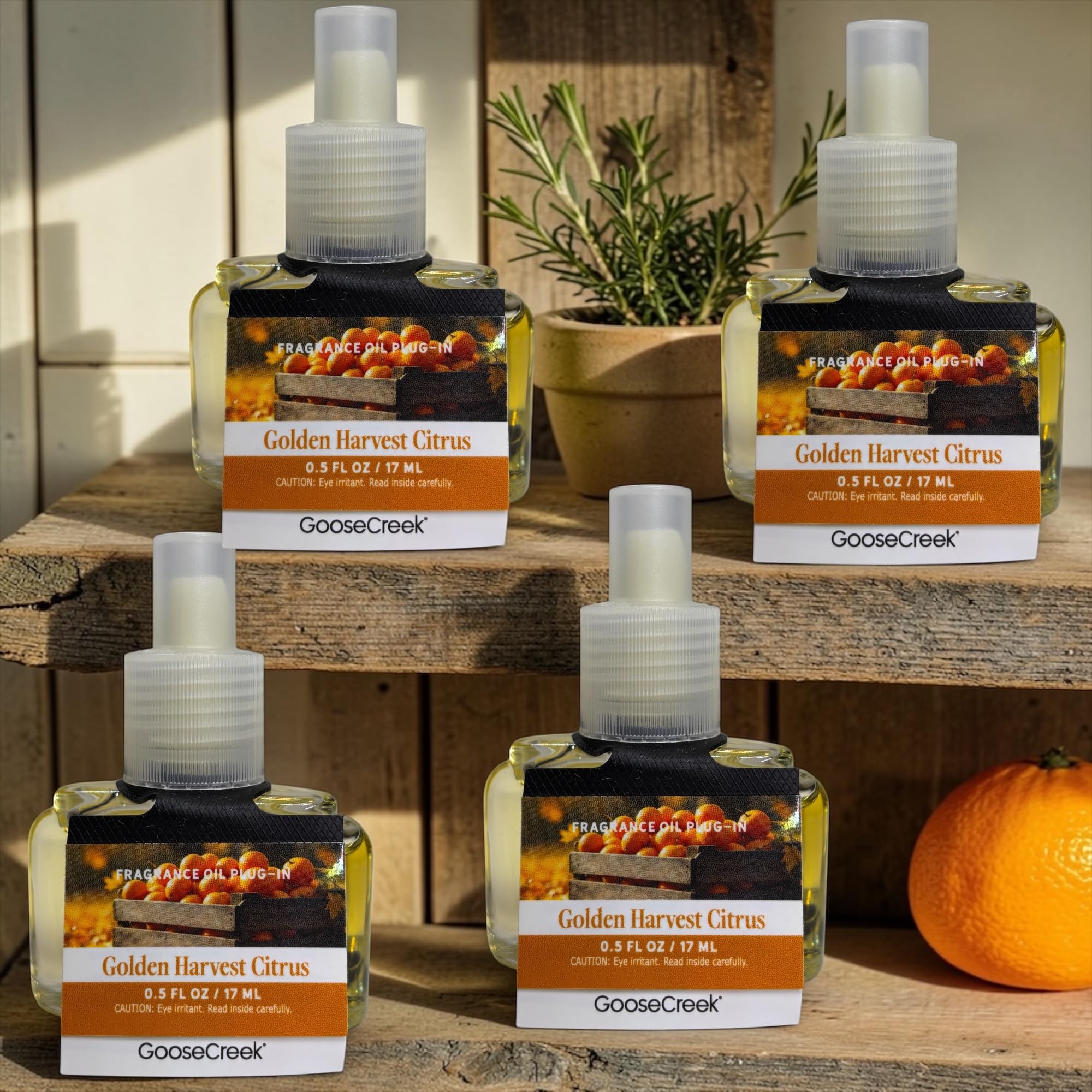 Golden Harvest Citrus Fragrance Oil Plug-In Refill, 0.5 FL OZ / 17 ML