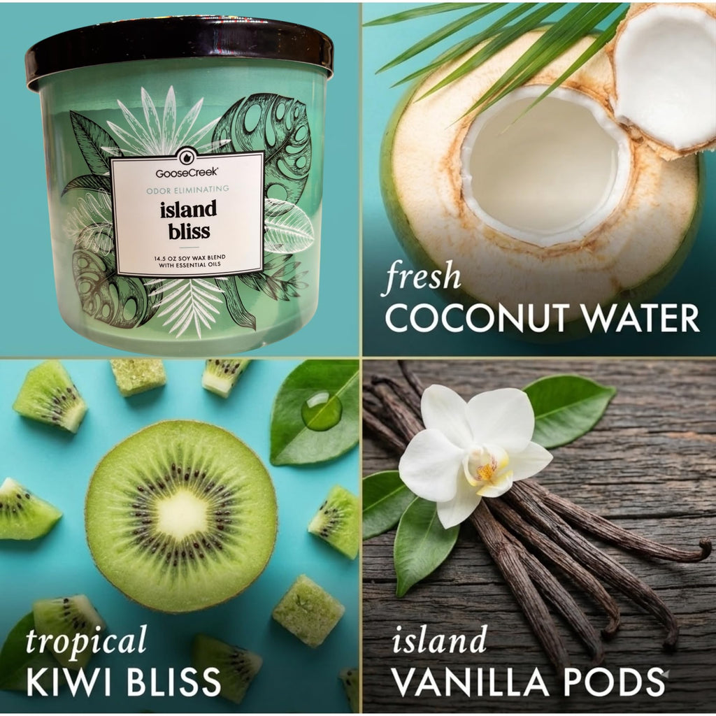 Soy Wax Blend Scented Candle, 14.5 oz, Odor Eliminating, Ocean and Tropical Themes, with Essential Oils