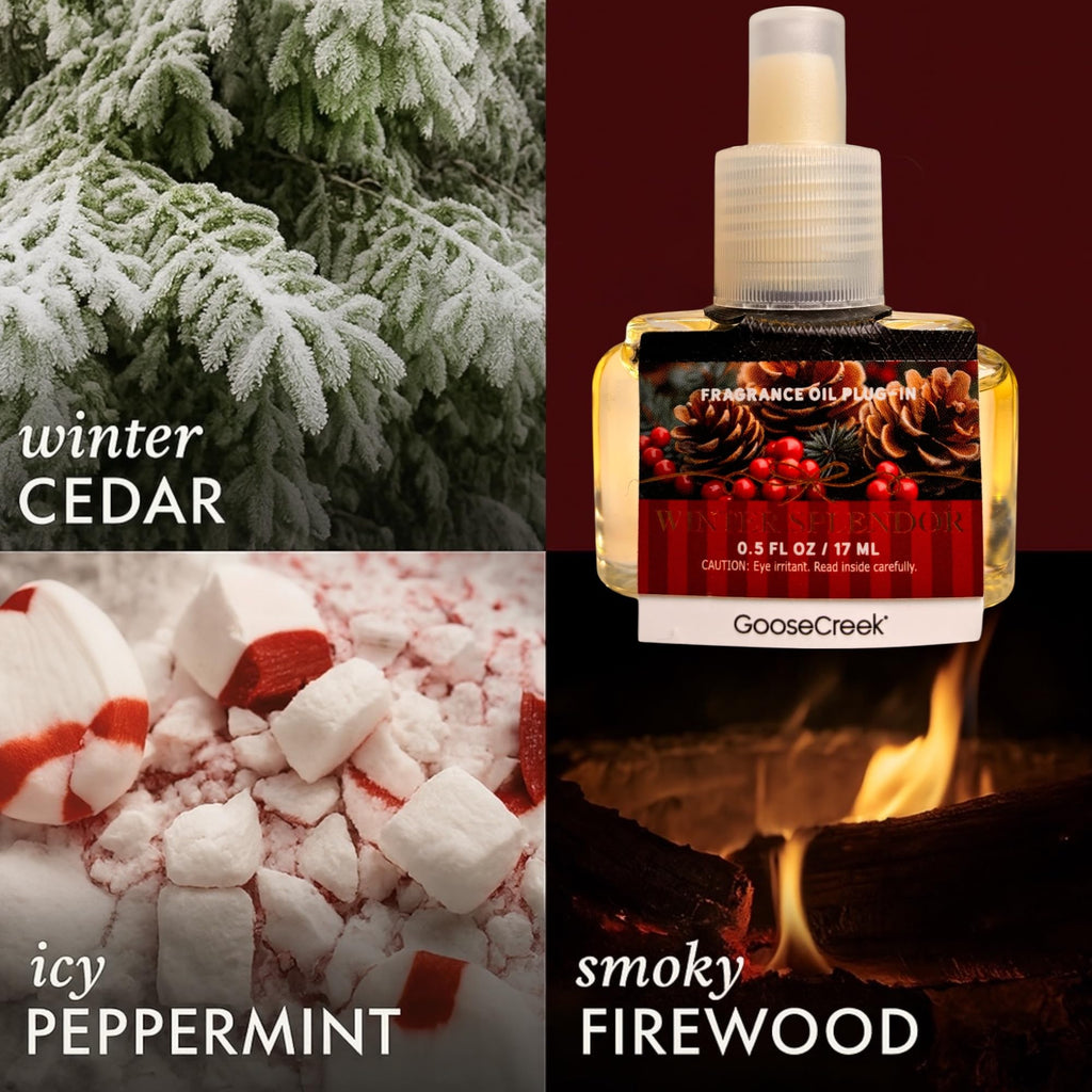 Fragrance Oil Plug-In, Winter Cedar Scent, 0.5 FL OZ / 17 ML