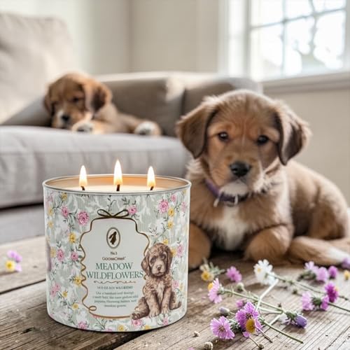 Meadow Wildflowers Scented Candle, 14.5 oz Soy Wax Blend with Artisanal Shortcake Soap Gift