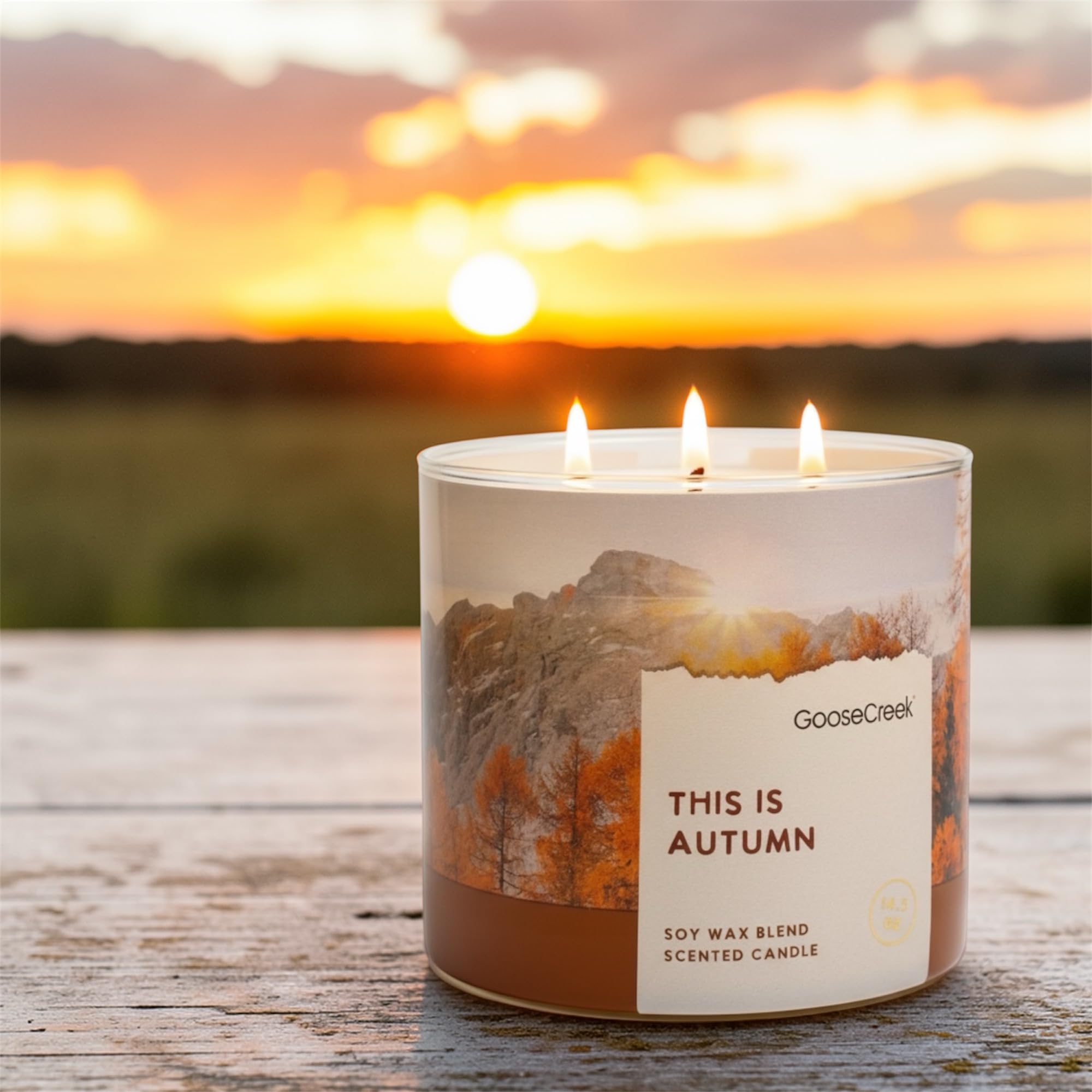 This is Autumn Scented Candle, Soy Wax Blend, 3-Wick, Apples, Leaves, Oats, Caramel & Spice