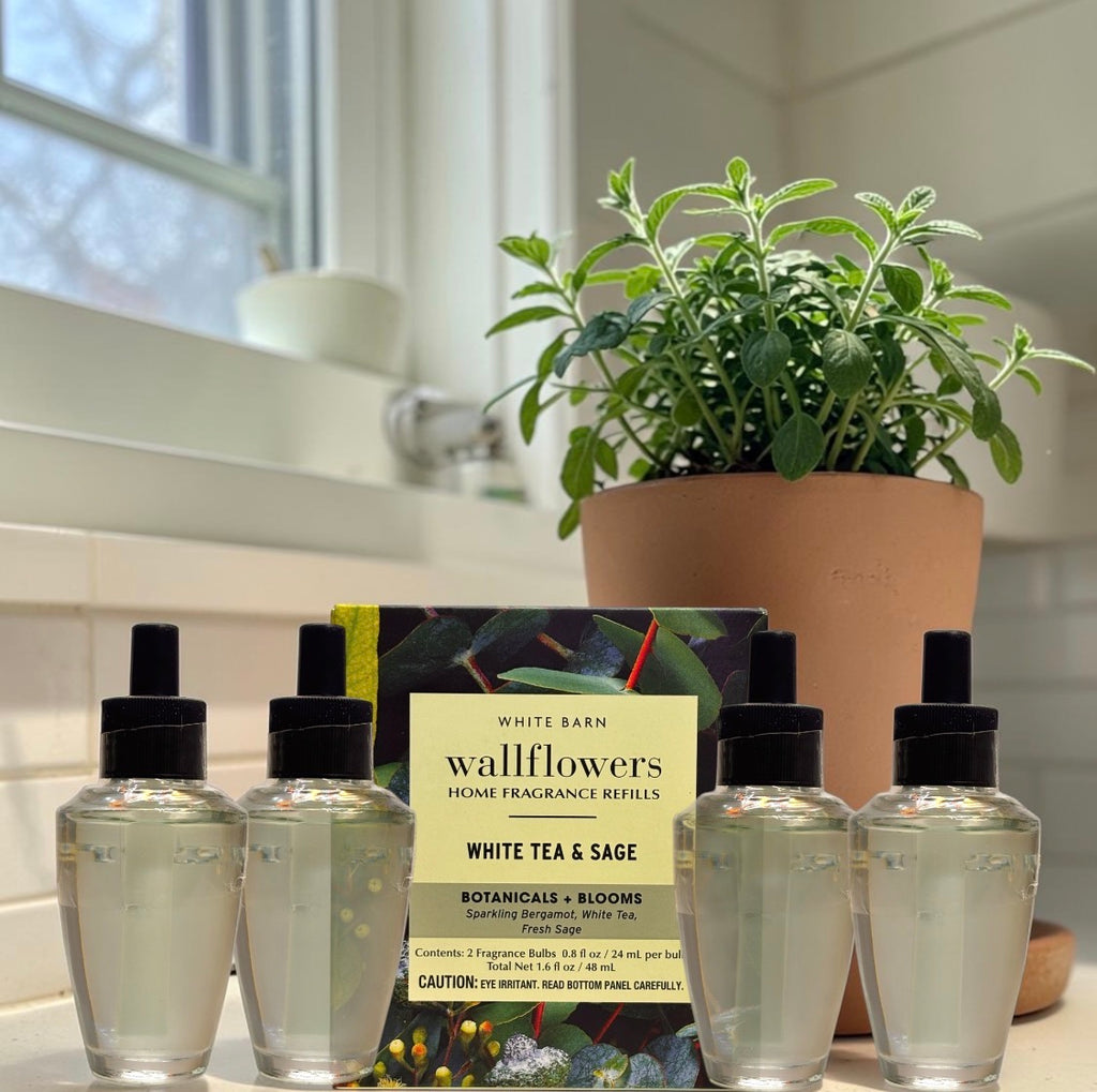 White Barn White Tea & Sage Wallflower Refill 4pack /Botanicals & Blooms Home Fragrance Plugs