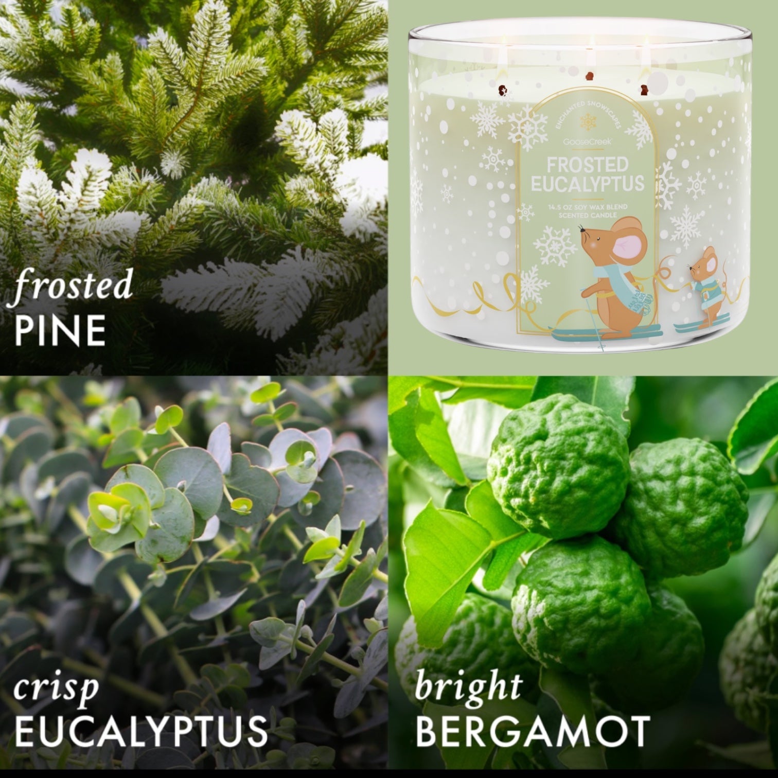 Frosted Eucalyptus Candle 14.5 oz + Artisanal Shortcake soap (love from the Heart design)