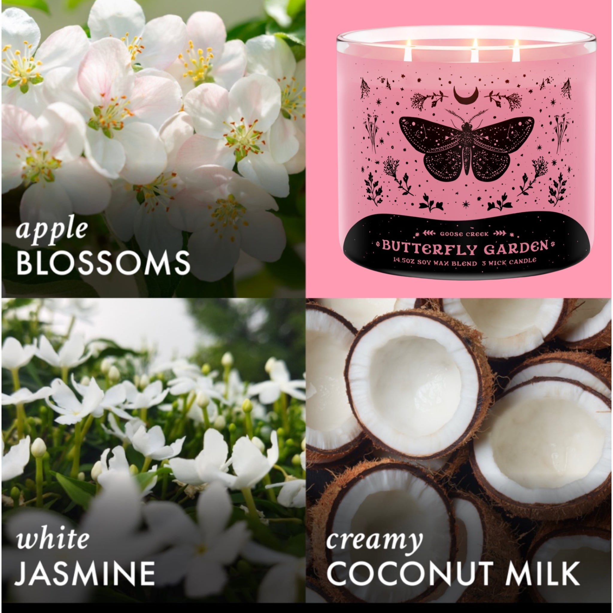 Candle 14.5 oz Butterfly Garden & Birds in love artisanal goat milk soap as a gift