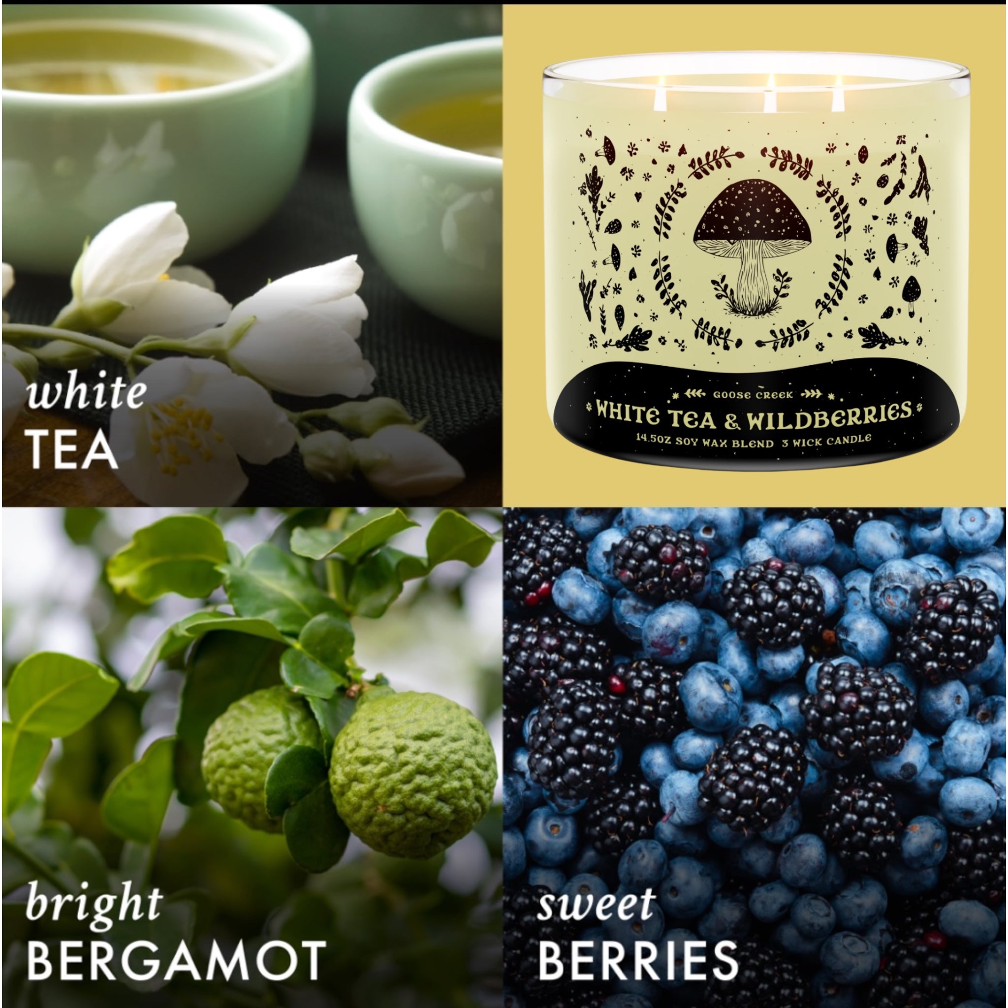 White Tea & Wildberries Candle 14.5 oz + Artisanal soap ( Birds in love design) as agift