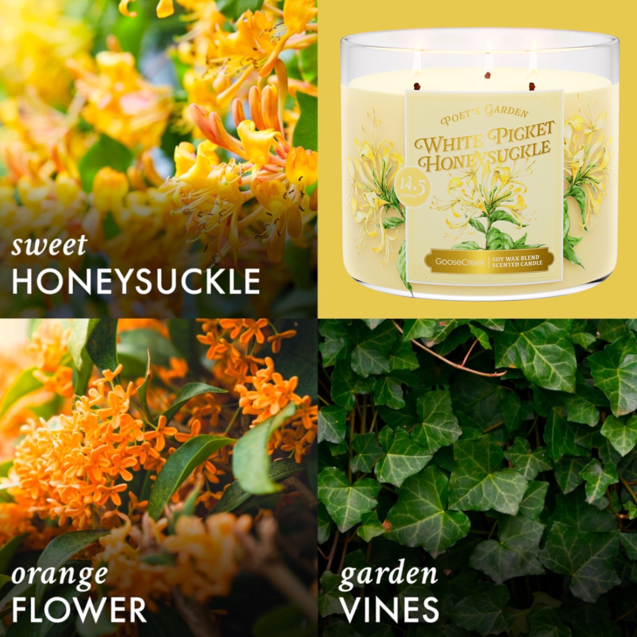 Poet's Garden (White Picket Honeysuckle) Candle 14.5oz + Artisanal Soap (birds in love design)