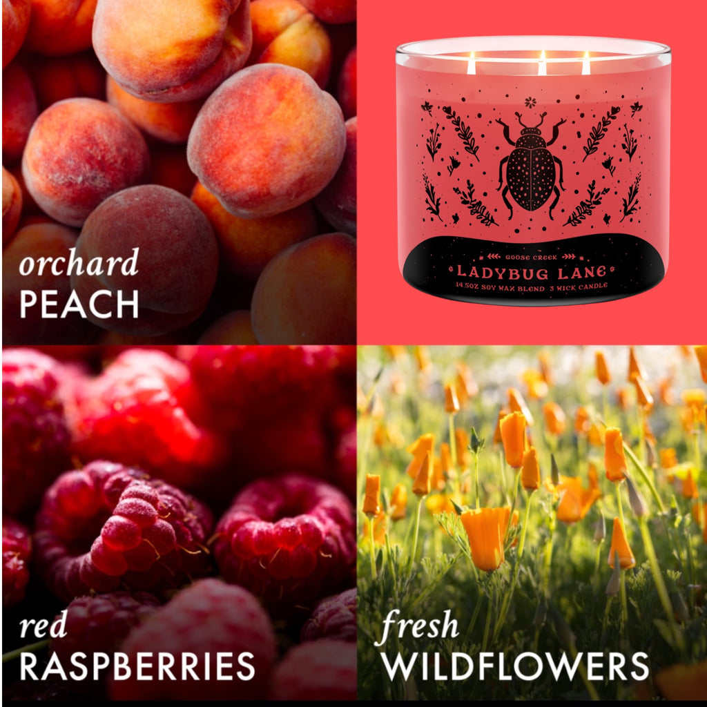 LadyBug Lane Candle 14.5oz +Artisanal Soap (Birds in Love design)