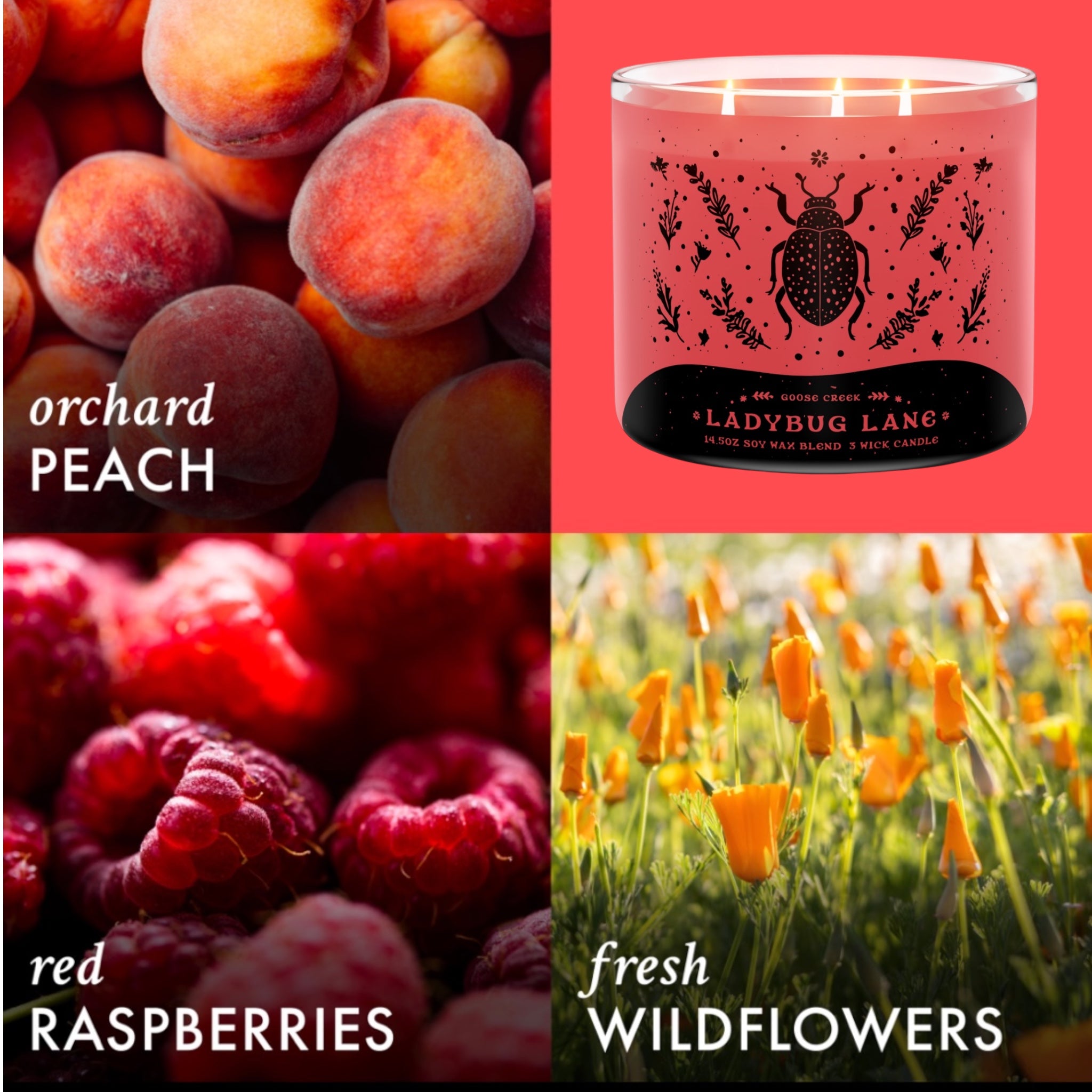 LadyBug Lane Candle 14.5oz +Artisanal Soap (Birds in Love design)