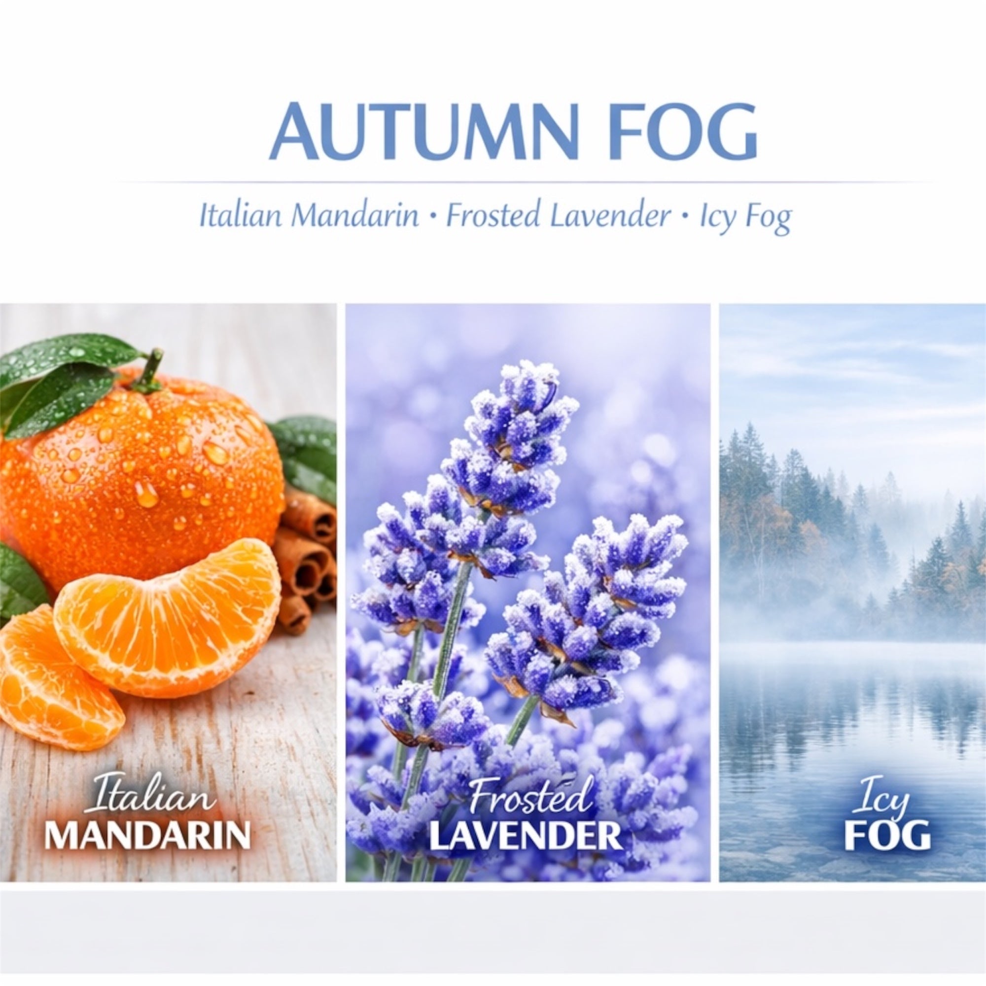Autumn Fog Soy Wax Blend Candle, Italian Mandarin, Frosted Lavender & ICY Fog Scent, 3-Wick