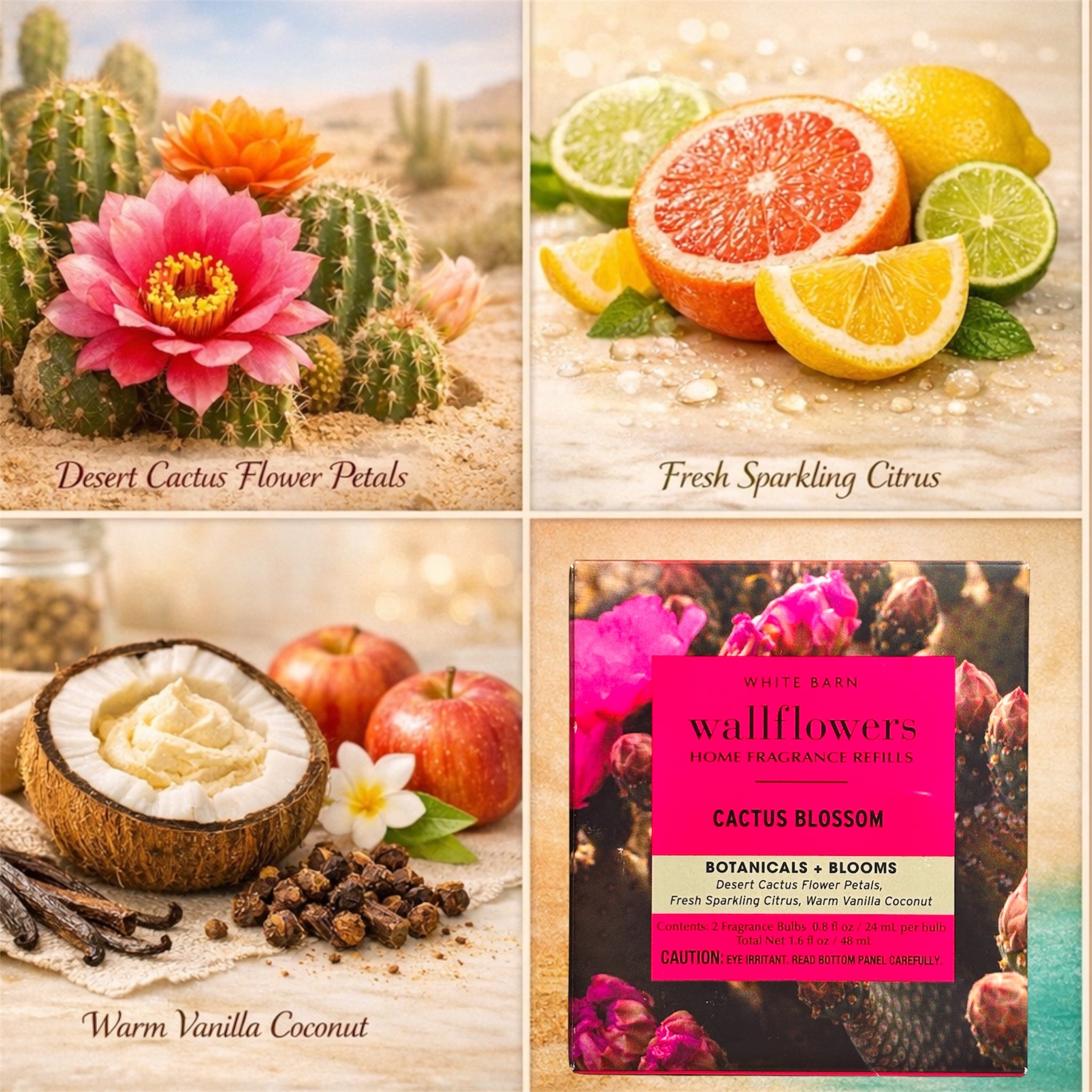 Cactus Blossom White Barn Wallflowers 4pack Botanicals & Blooms Home