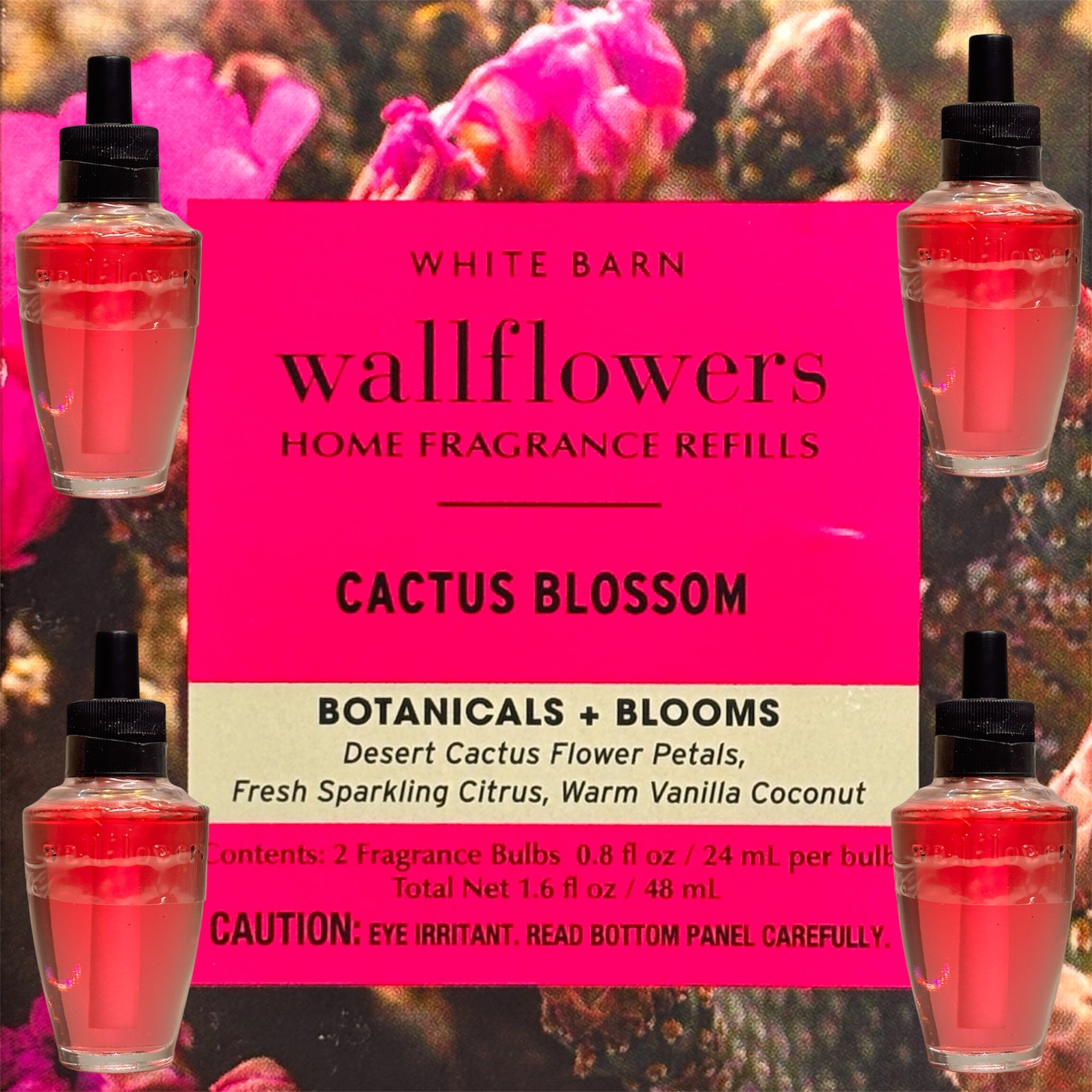 Cactus Blossom White Barn Wallflowers 4pack Botanicals & Blooms Home