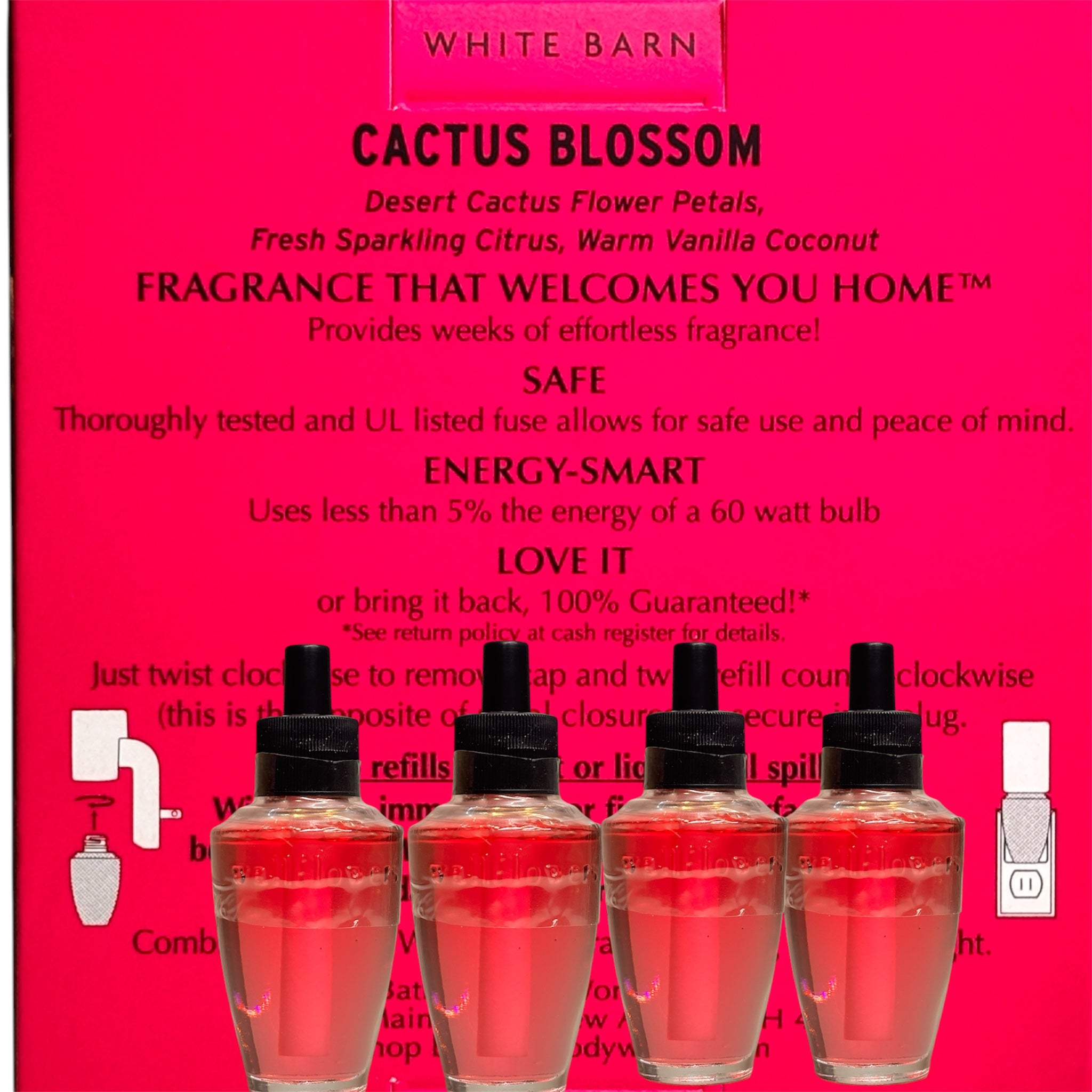 Cactus Blossom White Barn Wallflowers 4pack Botanicals & Blooms Home