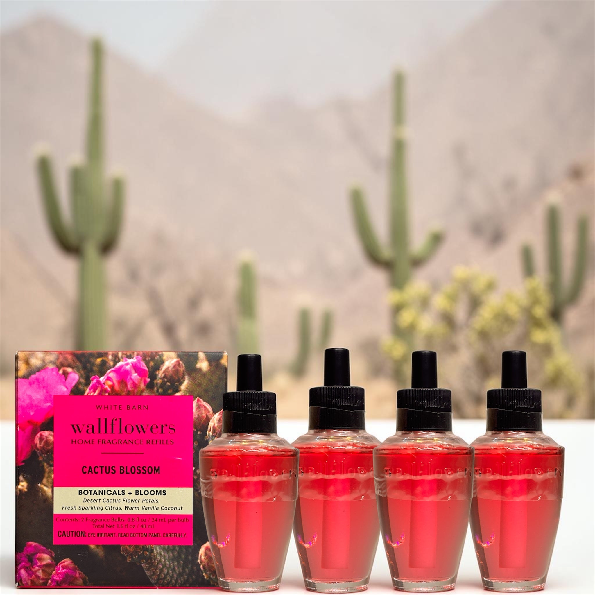 Cactus Blossom White Barn Wallflowers 4pack Botanicals & Blooms Home