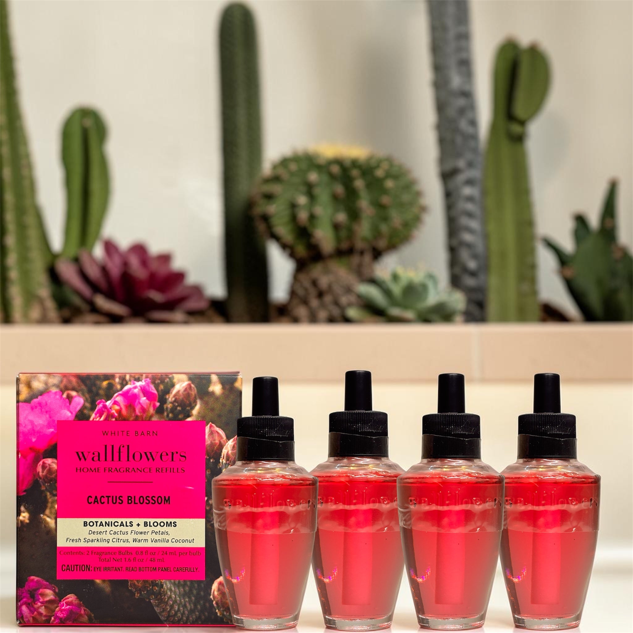 Cactus Blossom White Barn Wallflowers 4pack Botanicals & Blooms Home