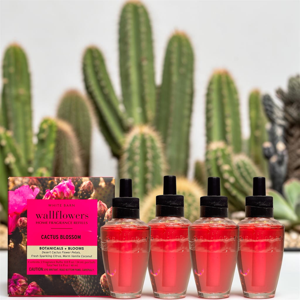 Cactus Blossom White Barn Wallflowers 4pack Botanicals & Blooms Home