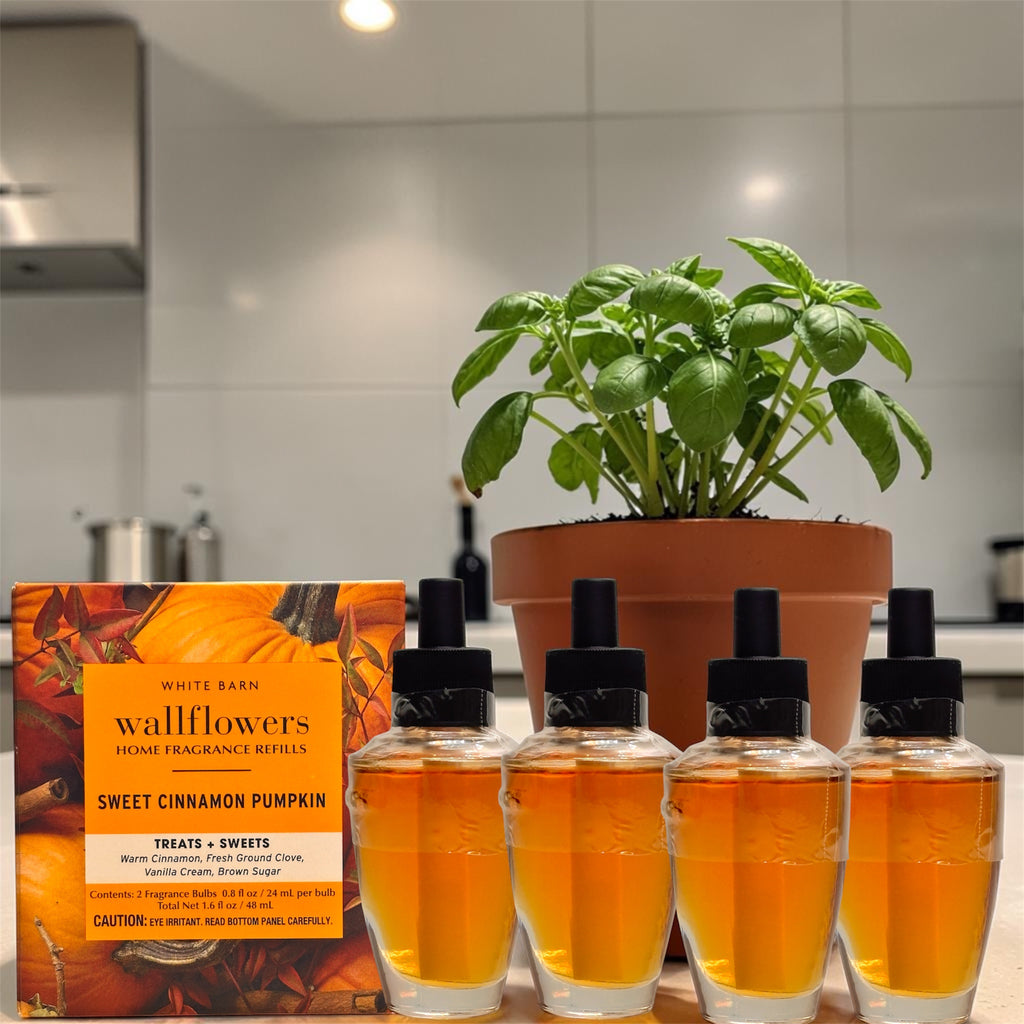 White Barn Sweet Cinnamon Pumpkin wallflowers Refill 4pack Treat &Sweets Home Fragrances Plugs