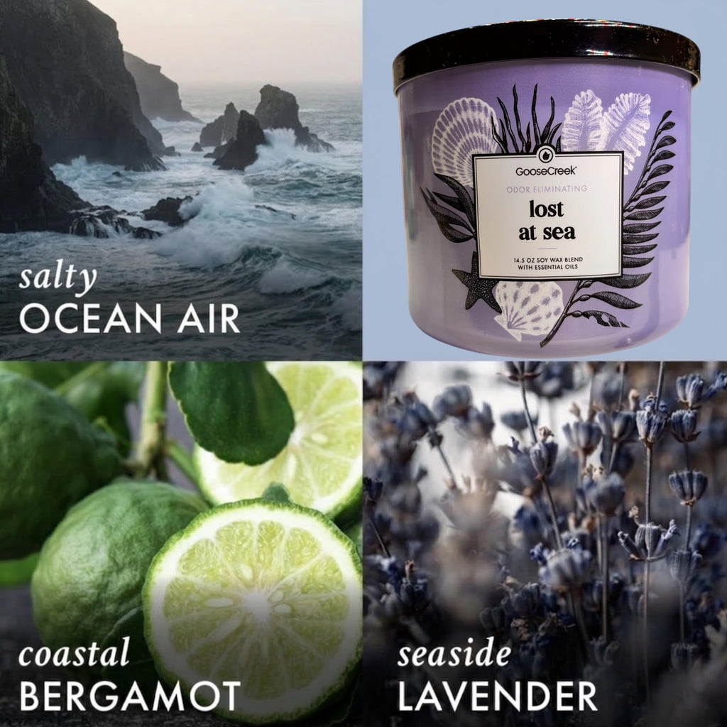 Soy Wax Blend Scented Candle, 14.5 oz, Odor Eliminating, Ocean and Tropical Themes, with Essential Oils