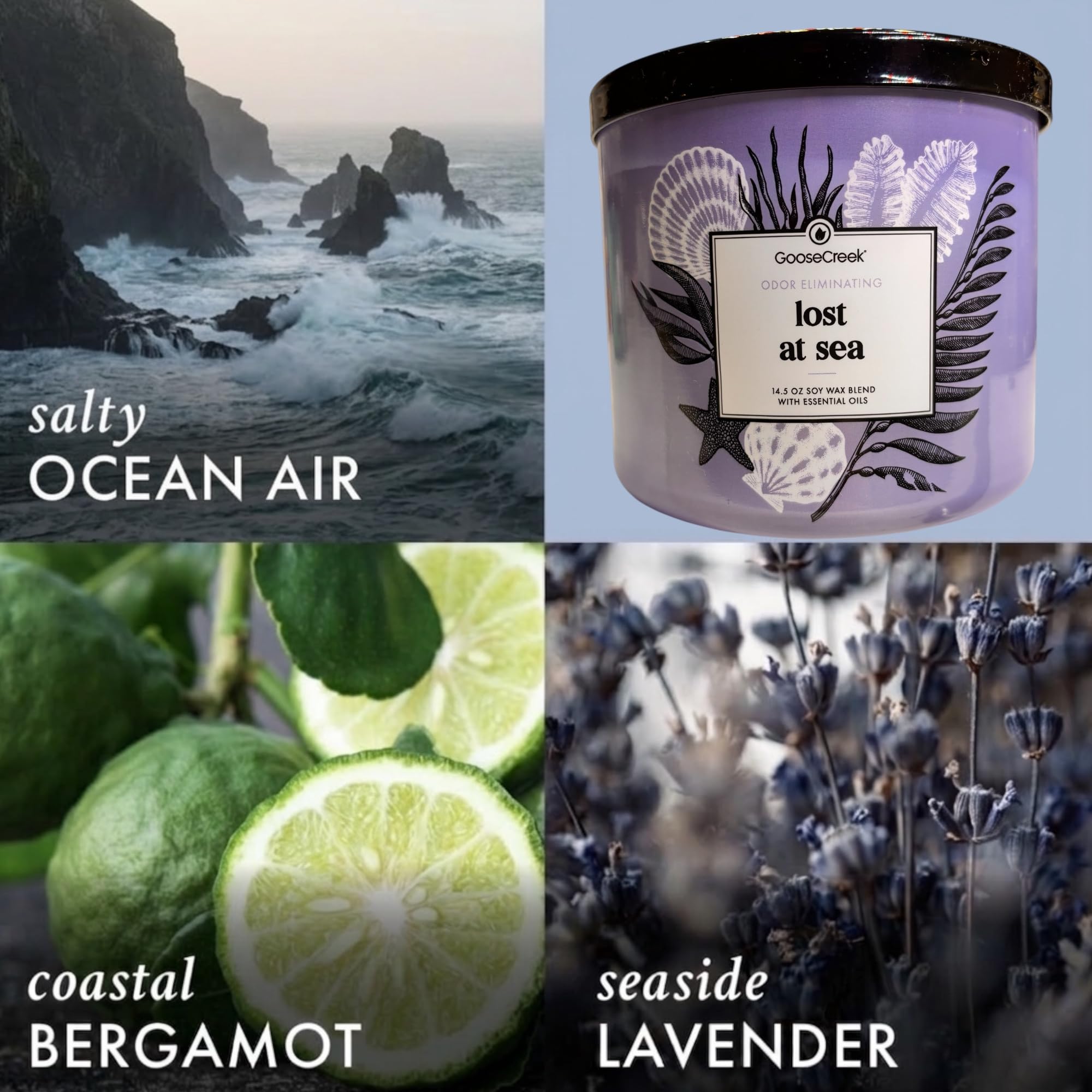 Soy Wax Blend Scented Candle, 14.5 oz, Odor Eliminating, Ocean and Tropical Themes, with Essential Oils