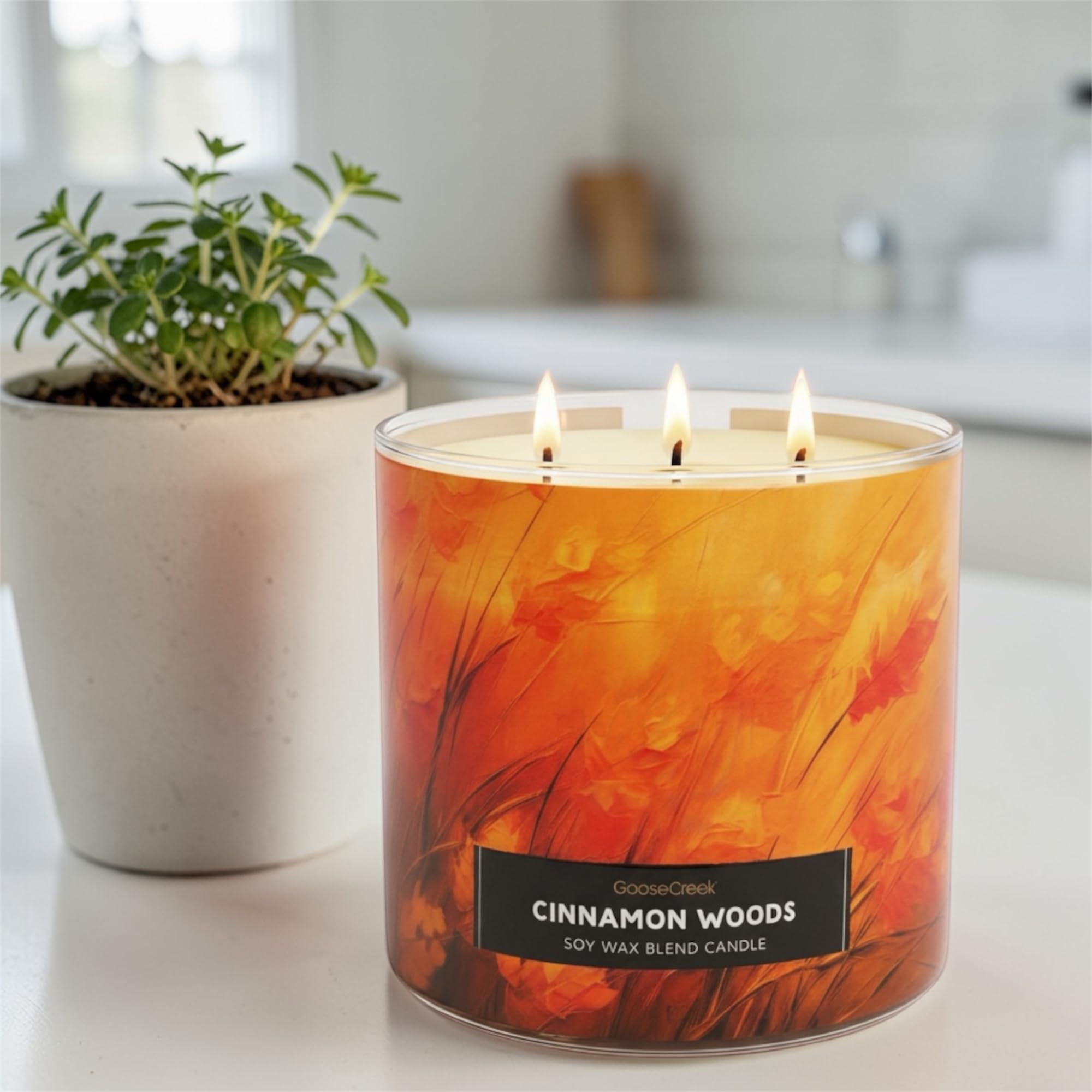 Cinnamon Woods Soy Wax Blend Candle, Ground Cinnamon, Rustic Cedar & Autumn Spice
