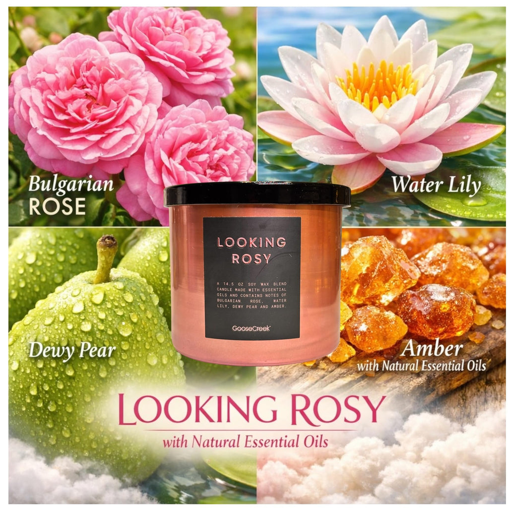 Soy Wax Blend Scented Candles, 14.5 oz, Set of 3, with Natural Essential Oils, Pure Comfort, Looking Rosy, on the Cloud
