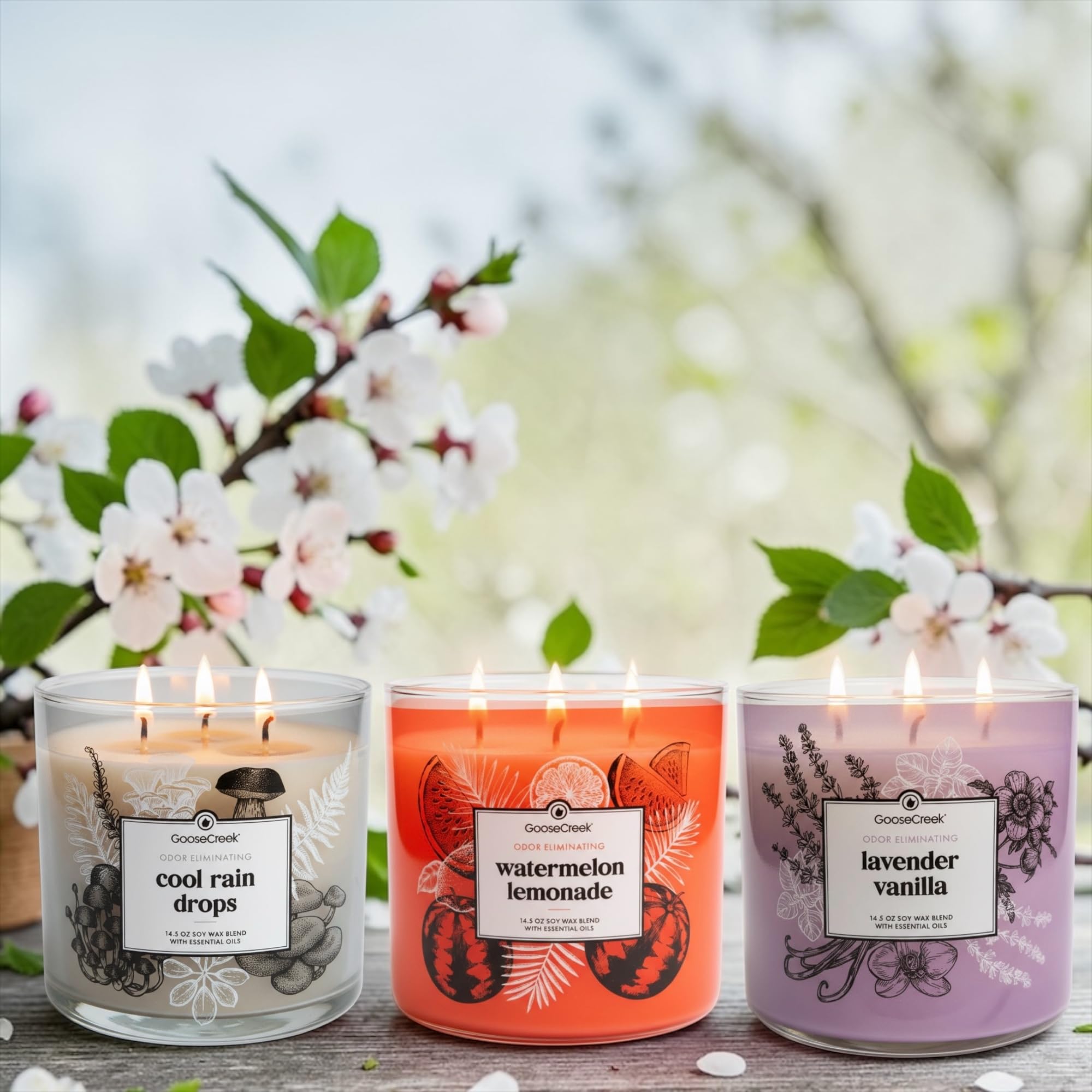 Odor Eliminating Scented Candle, 14.5 oz Soy Wax Blend with Essential Oils, 3-Pack (Cool Rain Drops, Lavender Vanilla, Watermelon Lemonade)