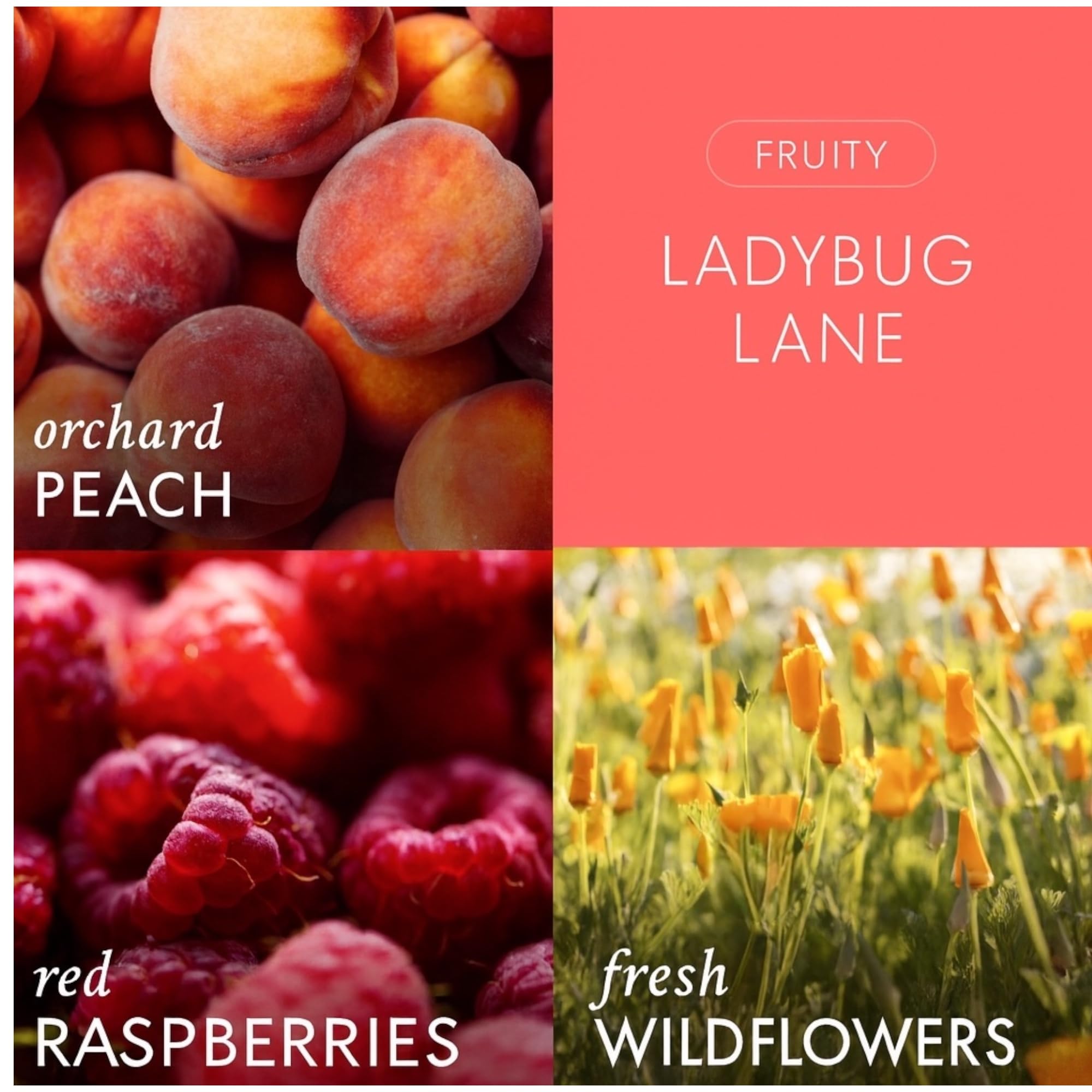 Ladybug Lane Scented Candle, 14.5oz Soy Wax Blend 3 Wick, Orchard Peach Raspberry Wildflower Fragrance & Artisanal Shortcake Soap Gift