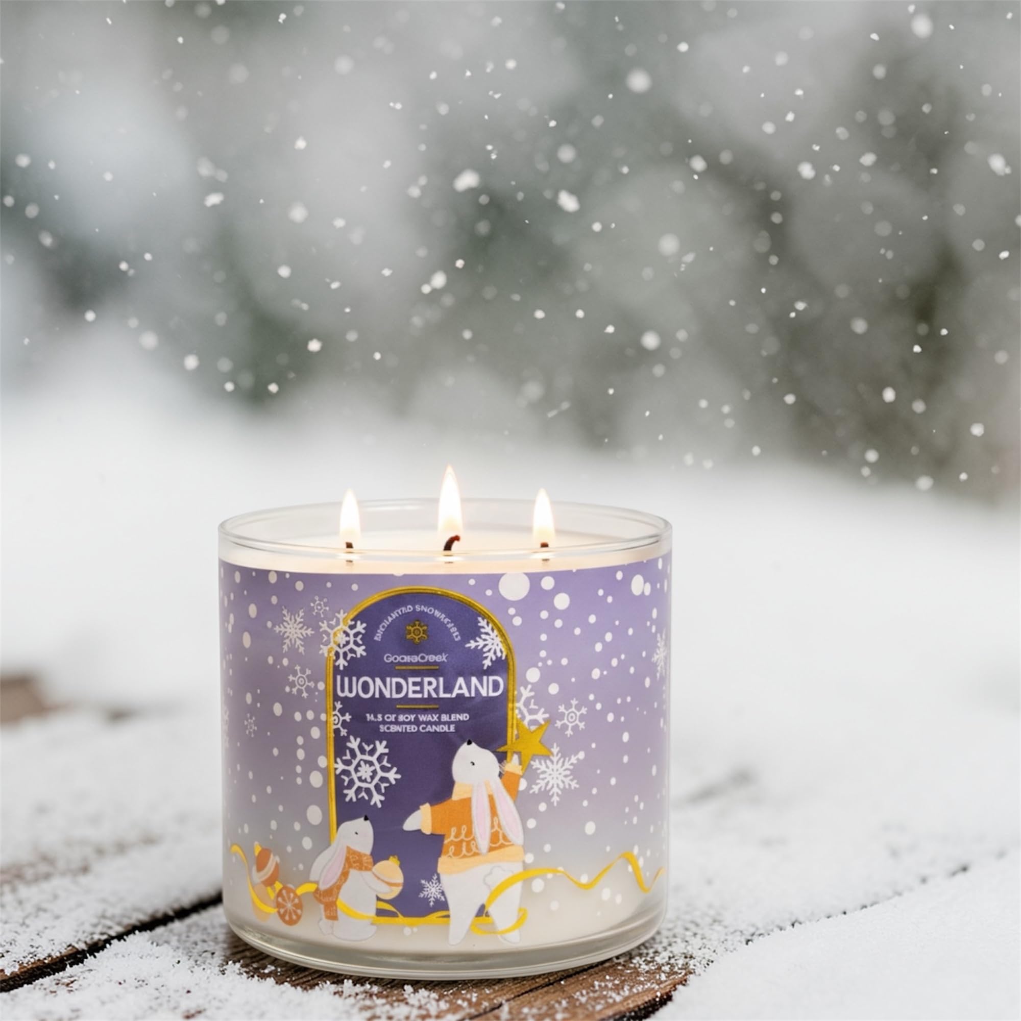 Wonderland 3-Wick Scented Candle, Soy Wax Blend, Peppermint, Vanilla Bean & White Woods, 14.5 oz