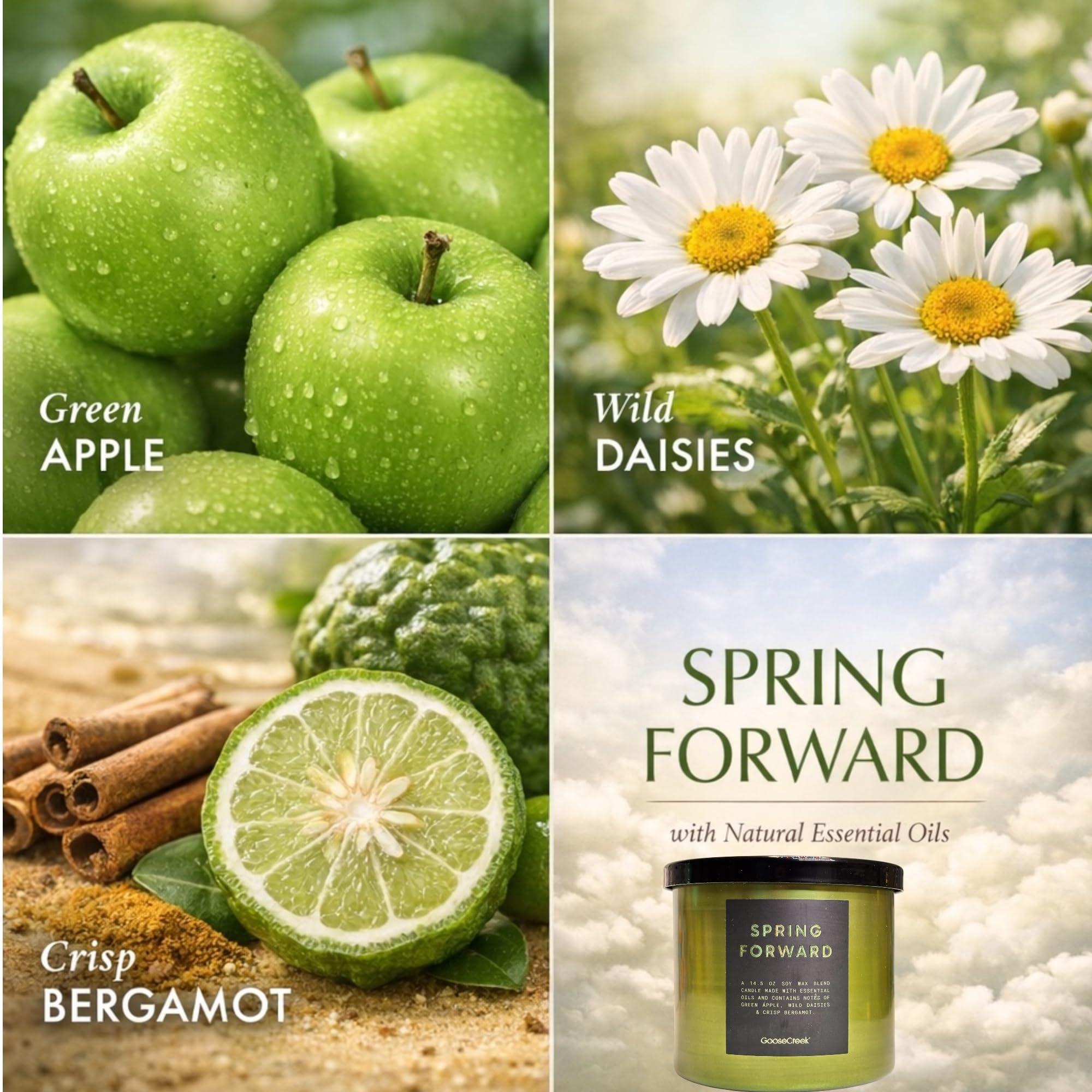 Soy Wax Blend Scented Candles with Natural Essential Oils, Set of 3, Lost in Nature, Spring Forward, Neroli Sands