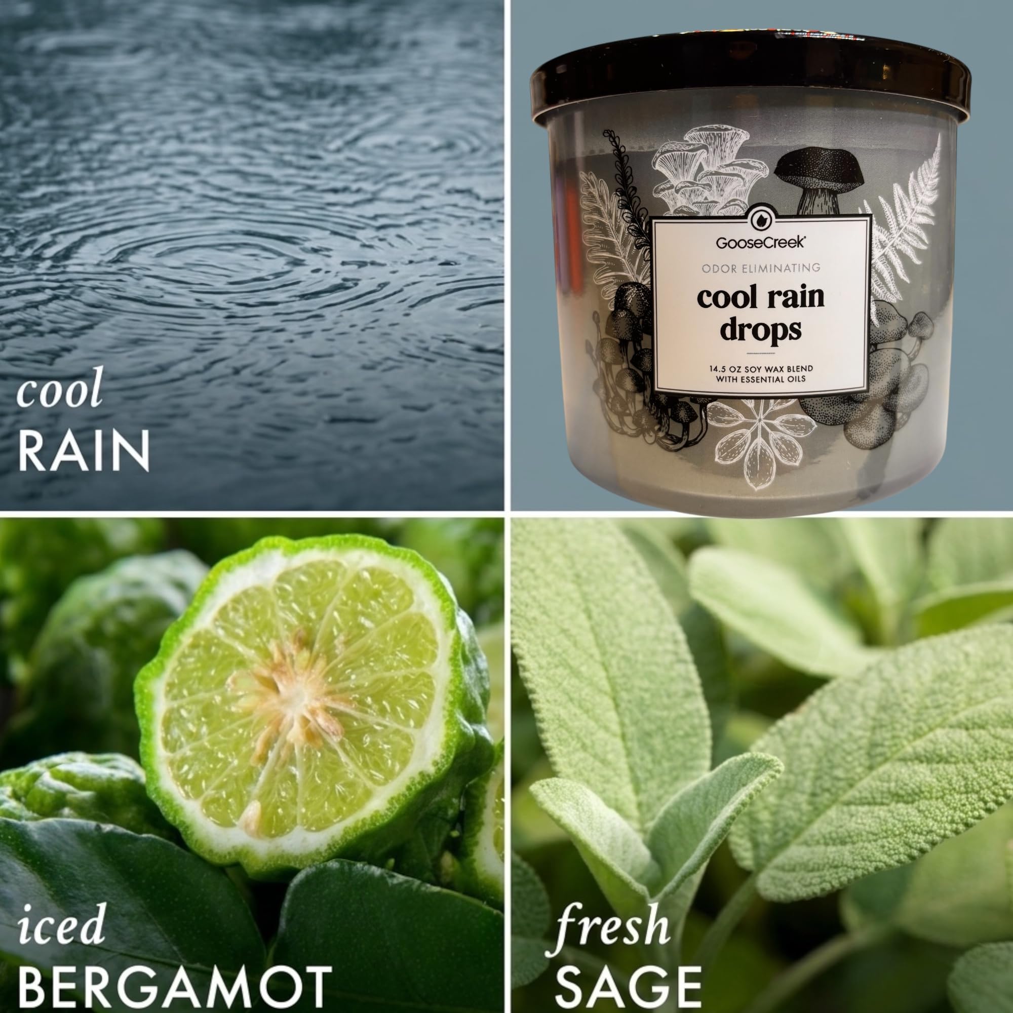 Odor Eliminating Scented Candle, 14.5 oz Soy Wax Blend with Essential Oils, 3-Pack (Cool Rain Drops, Lavender Vanilla, Watermelon Lemonade)